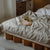 ROOM IN A BOX Familienbett 2.0 LOW in natur