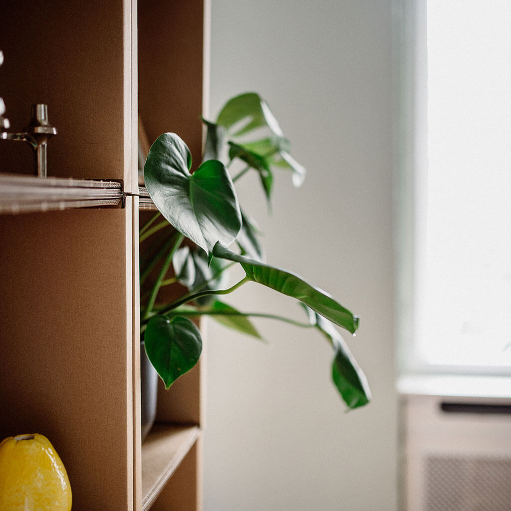 ROOM IN A BOX - Modulares Regalsystem